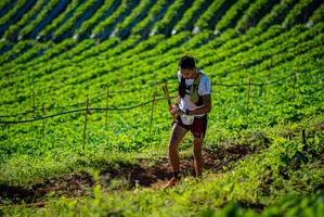 BIB: 
                            <button type="button" onclick="openModal(19160476)" class="btn btn-primary btn-sm float-right btn-popup" data-toggle="modal" data-target=".modal-high-quality">
                        <i class="fas fa-shopping-cart"></i> Add to Cart
                    </button>
                                            <button type="button" onclick="isThisMe(19160476, true)" class="btn btn-success btn-sm float-right btn-popup btn-isme hidden" data-toggle="tooltip" data-placement="bottom" title="นี่คือรูปของคุณใช่ไหม คลิกที่นี่เพื่อเอาเข้าอัลบั้ม">
                        <i class="fas fa-plus"></i> Add to album
                    </button>
                    <button type="button" onclick="isThisMe(19160476, false)" class="btn btn-warning btn-sm float-right btn-popup btn-isnotme hidden">
                        <i class="fas fa-ban"></i> Remove from album
                    </button>